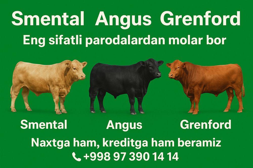 Kreditga xohlagan mahsulotlar bor.