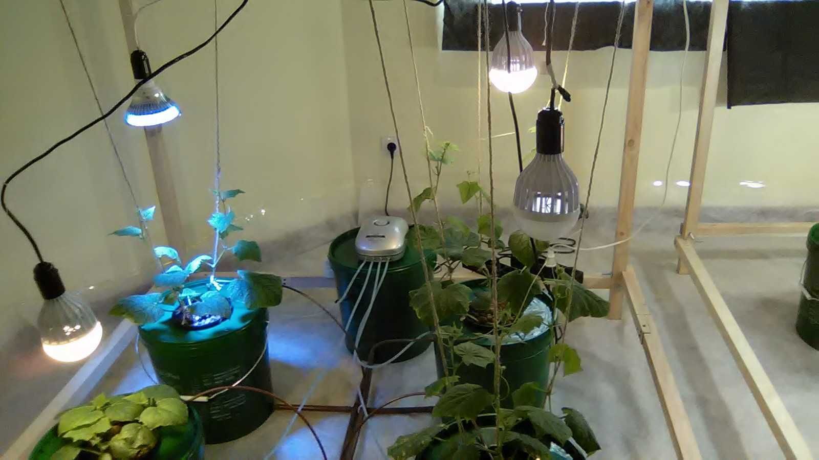 Система для выращивания растений Aquapot