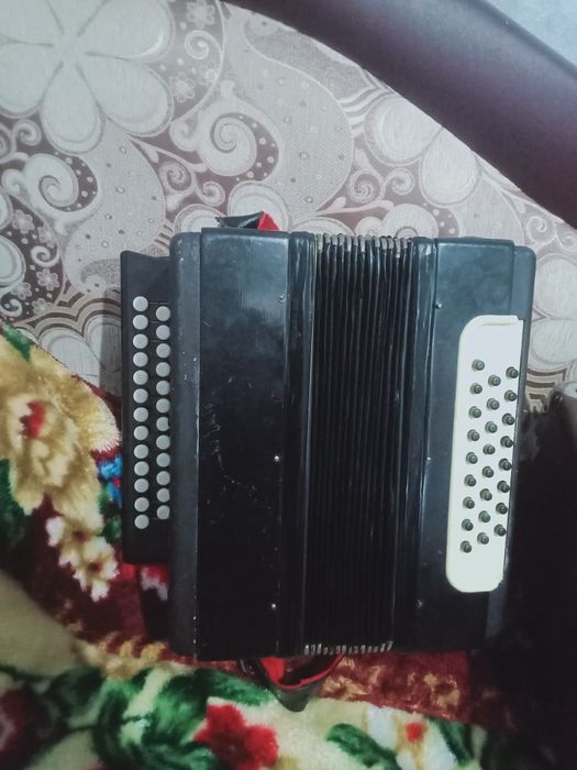 Гормонь, гормошка, аккордеон, баян