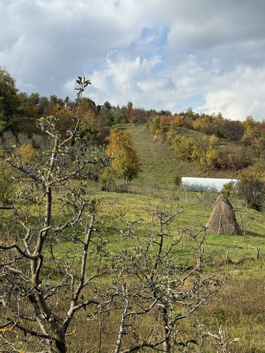 Teren intravilan Comuna Valeni-Dambovita 3557 m2