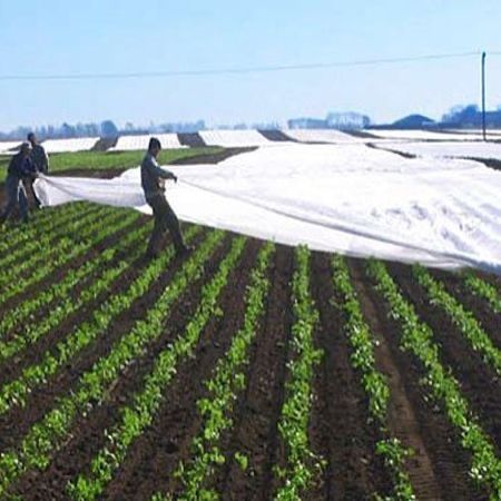 FOLIE MICROPOROASA-AGRYL-ANTI INGHET 8.45x100m;9.5x100m;10.5x100m