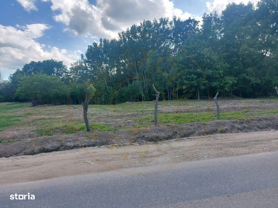 Teren intravilan 1843 mp - Cerbu/Albota/Arges - cu proiect de casa pe