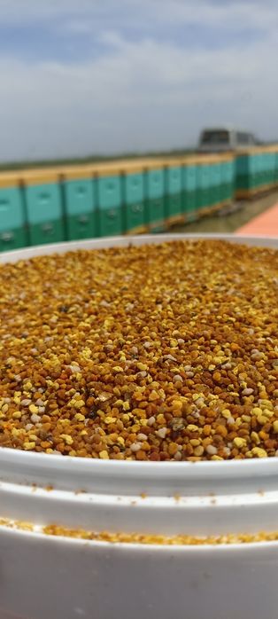 Улья для пчёл 6,8,10,14 рамочные ппу