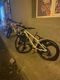 Vand bicicleta DIRTBIKE Bulls Camerlengo, roți 26