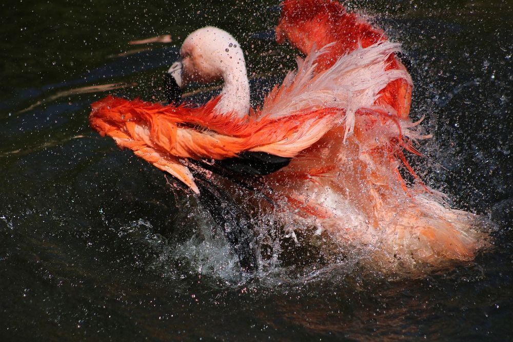 Canon 75-300mm f/4-5.6 USM EF обектив Канон