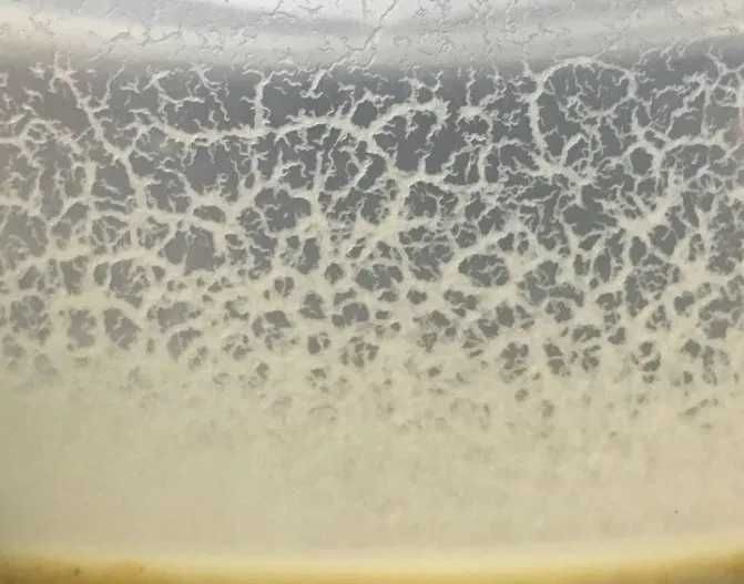 Culturi Microviermi, HRANA VIE pentru PESTI