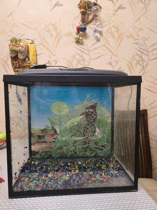 Продам аквариум 50 литров