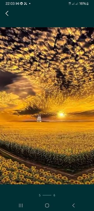 Гипсовая лепнина