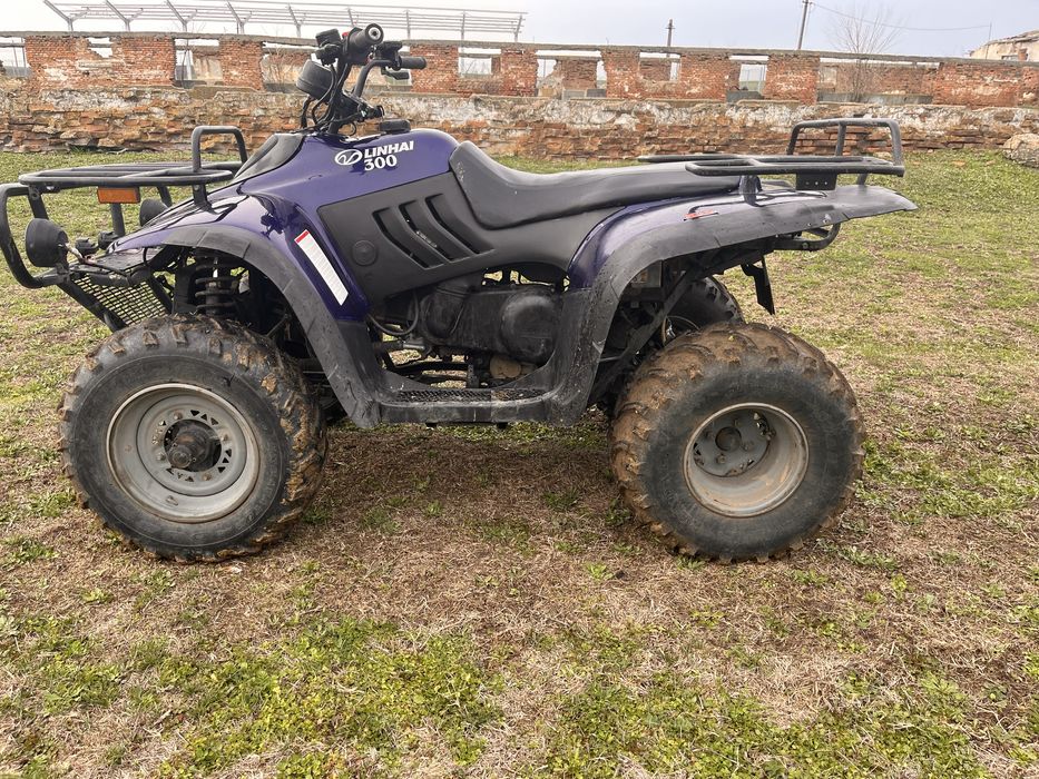 Atv linhai 300, an 2009( merita vazut )