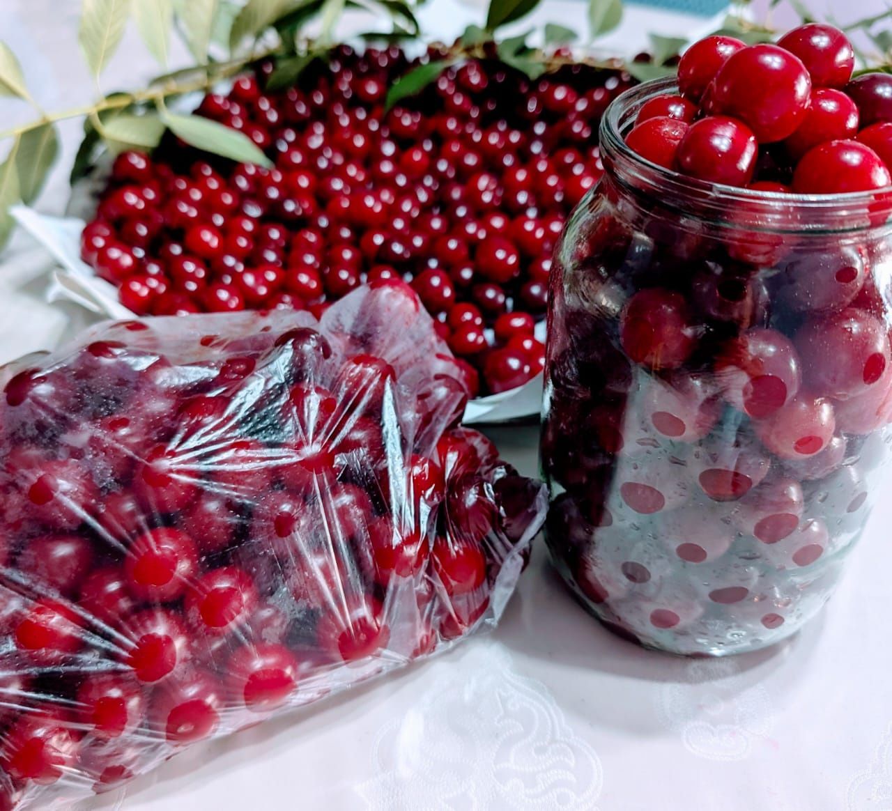 Продам вишню продам