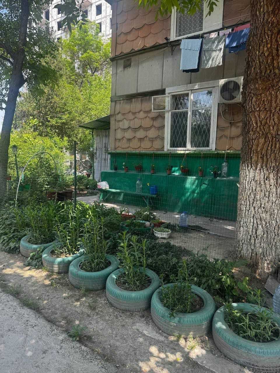 Кадышева 1/1/2 Орр Автостанция Кадышева