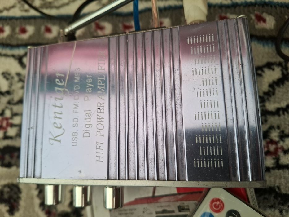 Кентигер хитой усилитилча