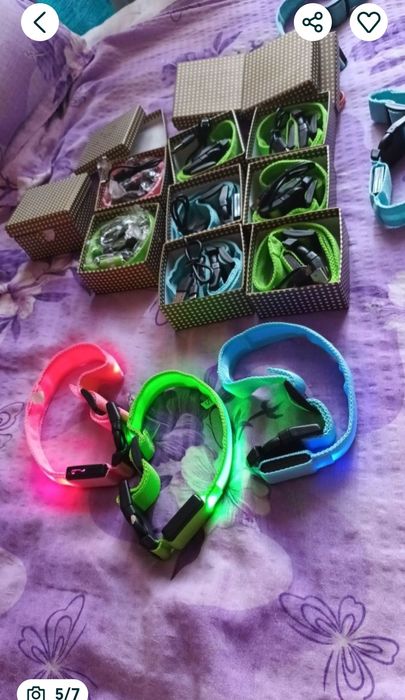 zgarda pentru câini luminoasa