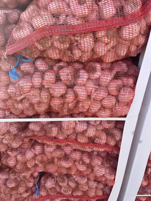 Usturoi pentru plantat si consum