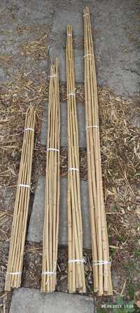 Изсъхнал бамбук на пръчка