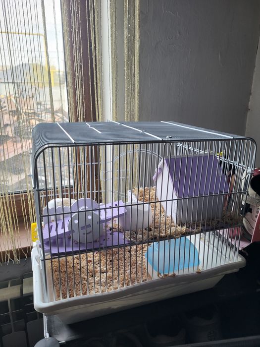 Хомяк с клеткой отдам даром