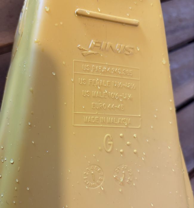 Labe scurte adulti inot