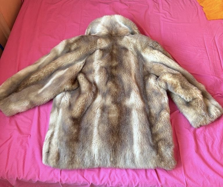 Haina blana vulpe argintie