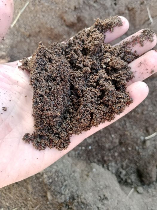 Biogomus kafolati 100%