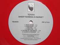 cadou rar Toyah made UK new wave,post-punk,artRrockElectronic
