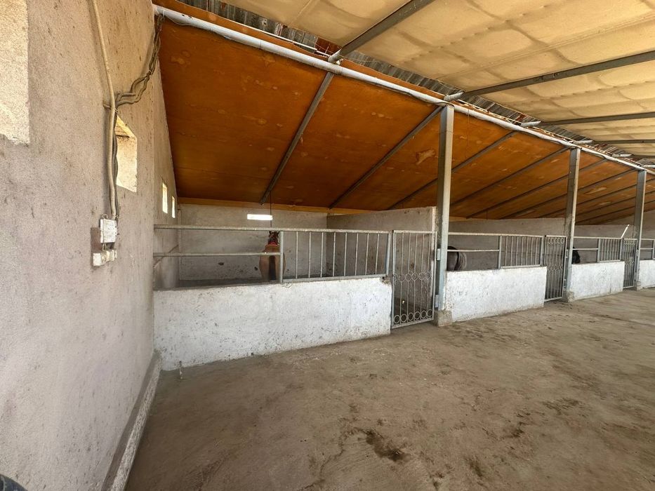 Ферма сотилади , 2.5 гектар