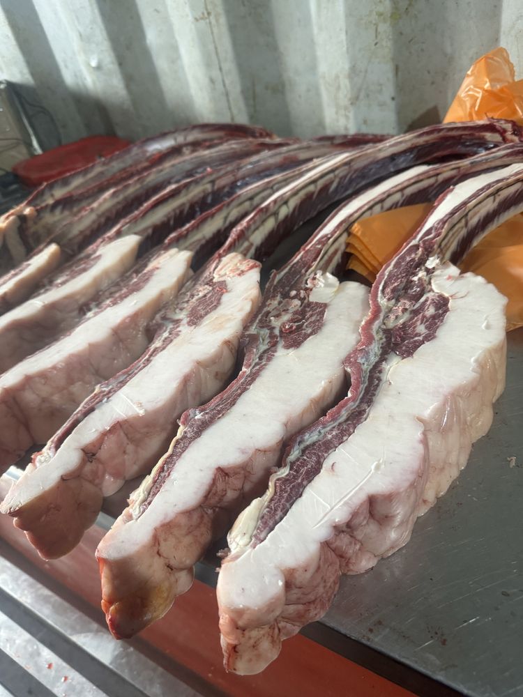 Байтал сирак, мясо , ет различного типа