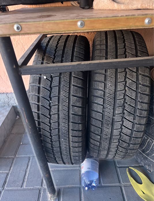 Зимние ризина.