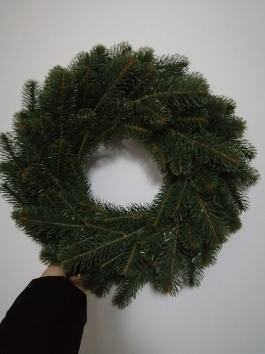 Mix crenguțe brad 100 bucati