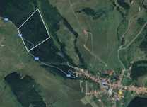 Vând pădure de stejar, carpen. 12,71 hectare