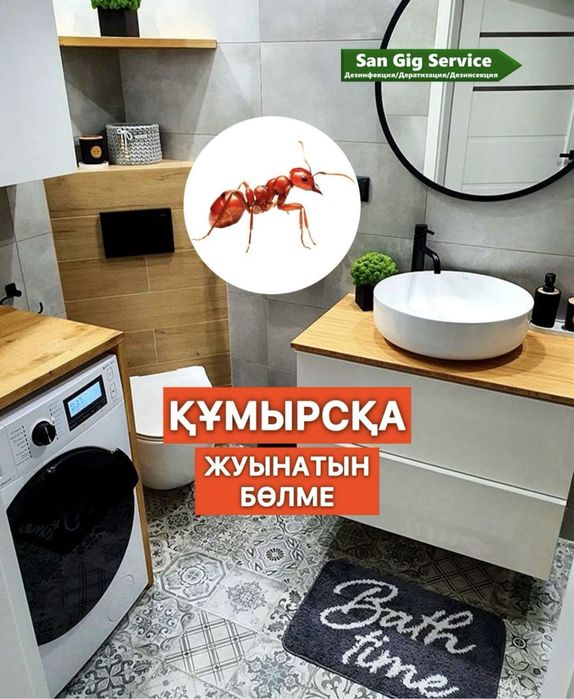 Дезинфекция! Уничтожение клопов/клопы, тараканов/ тараканы, грызунов.