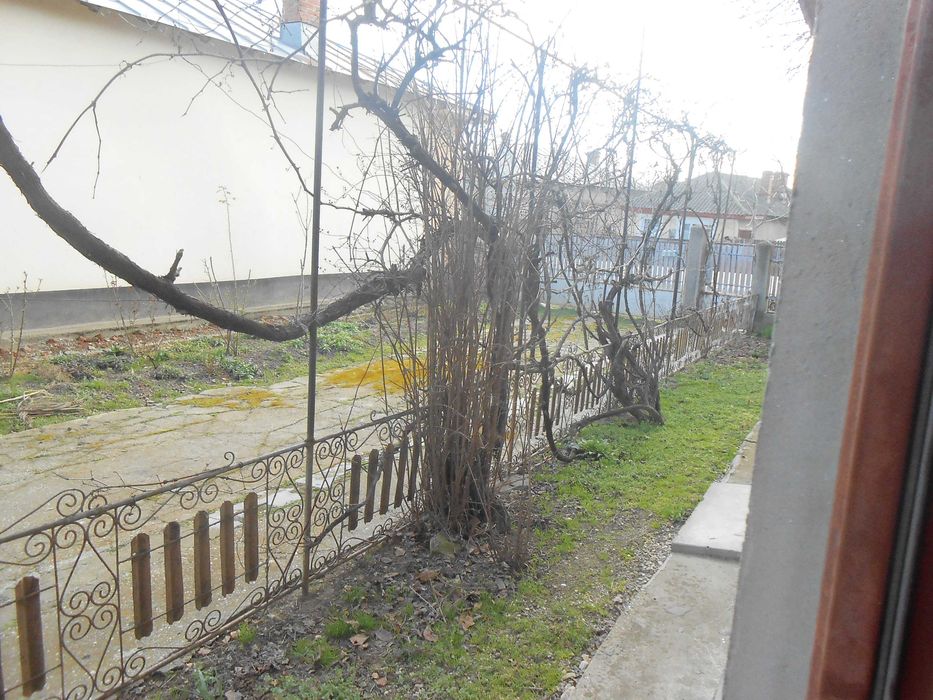 casa plus teren 1508mp