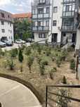 Apartament 3 camere de vanzare