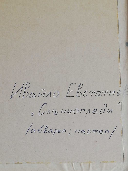 Ивайло Евстатиев-Слънчогледи