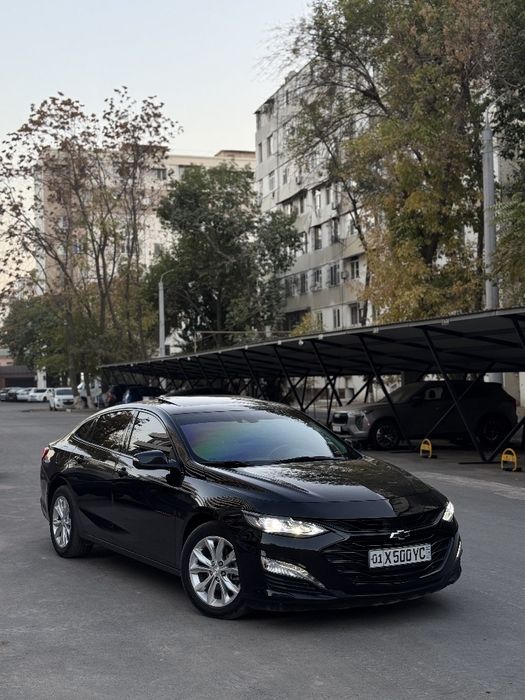 Malibu 2 Xl krasska tozza 2023