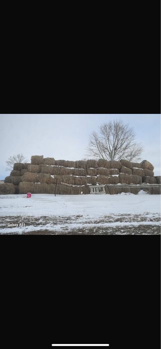 Продаю сено,100 рулонов