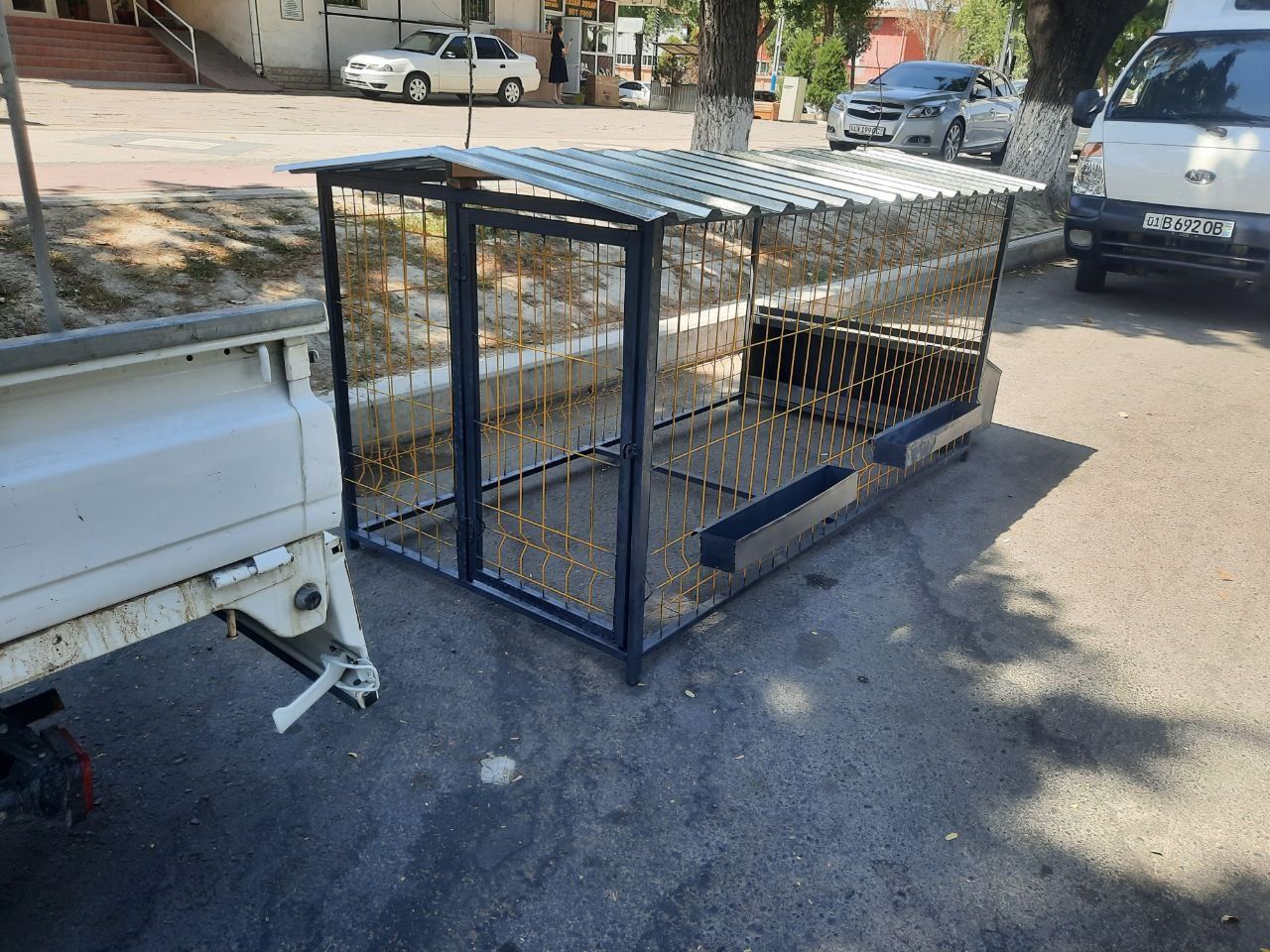 Tovuq kataklar. Arzon va sifatli