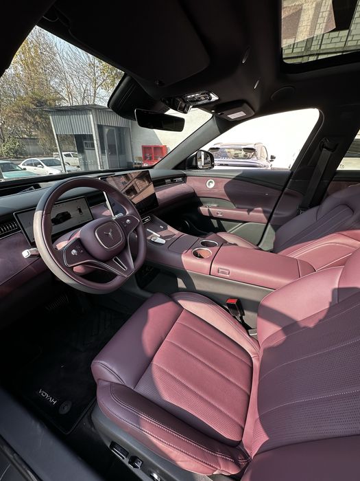 Voyah free 2025 rest full