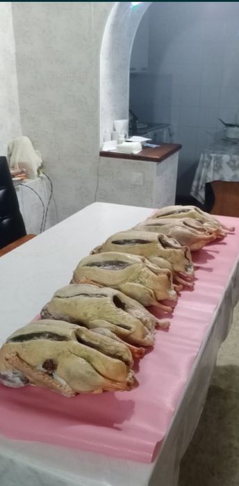 Тұздалған қаздың еті. Гусь соленый.Цена за кг.Тушки гусей.