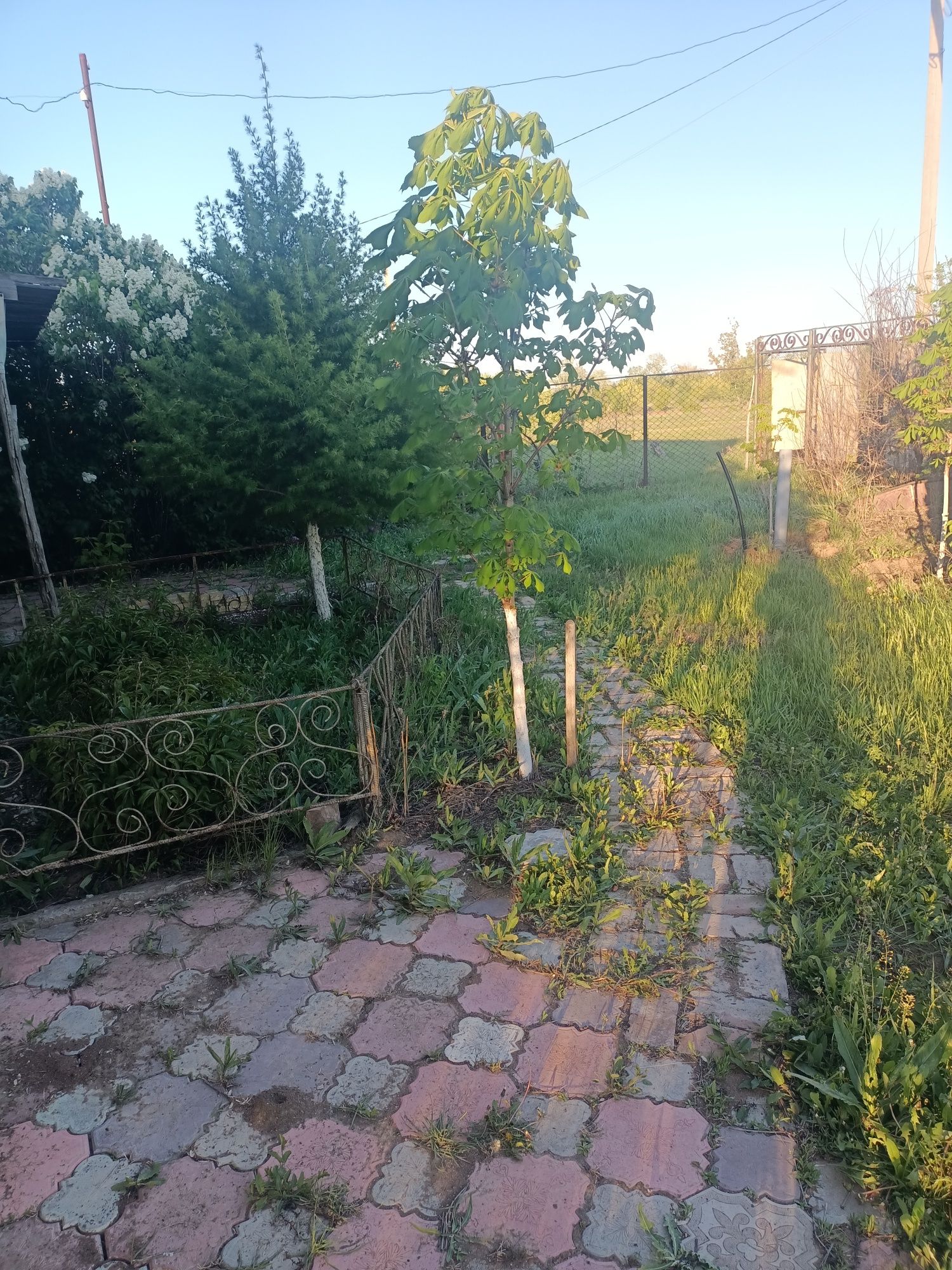 Продам дачу на берегу реки Деркул не затапливается