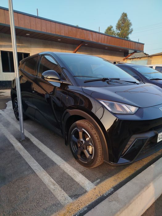 BYD SEAGULL 2024 yil