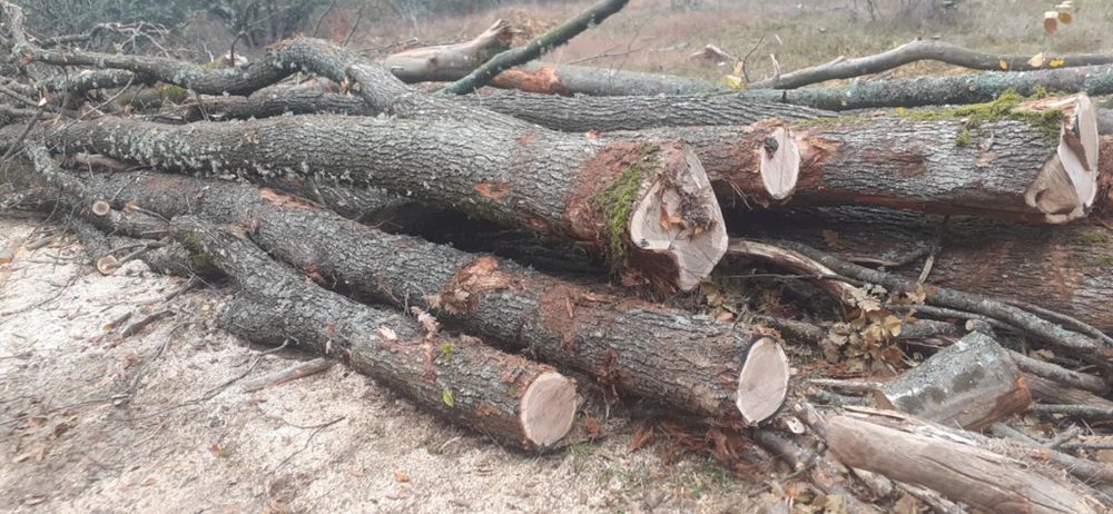 Vând lemne de foc la 320 lei metru esență tare cu transport gratuit