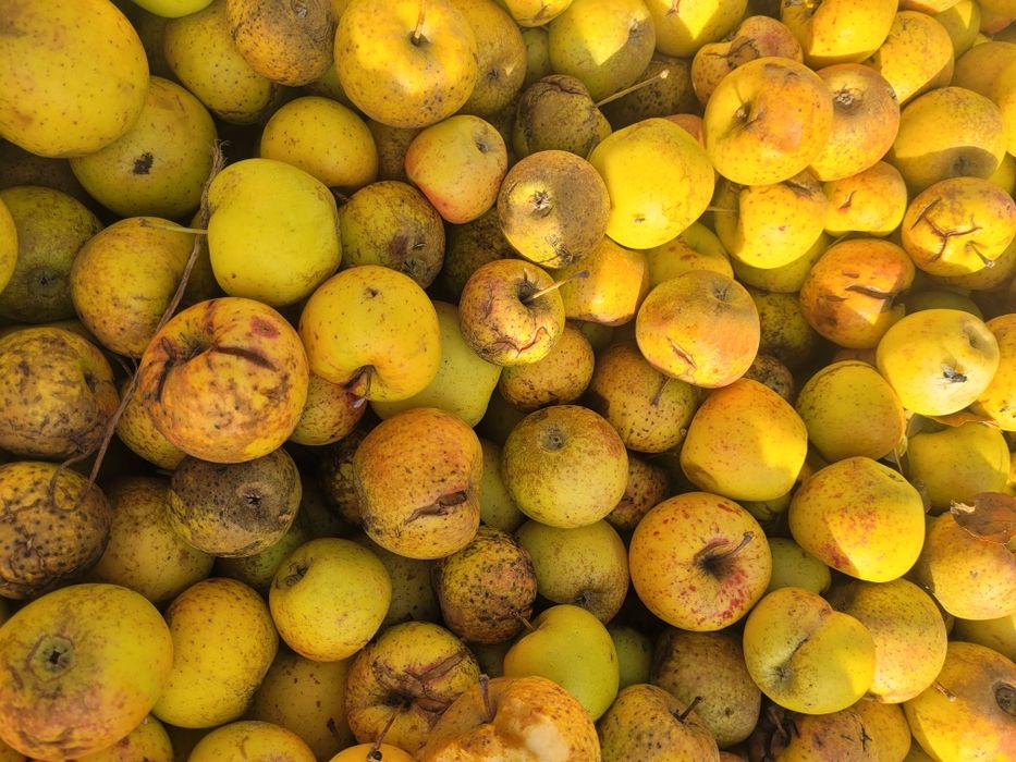 Vand Mere de industrie