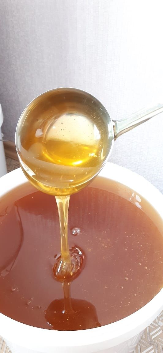 Натуральный Алтайский Мёд от производителя