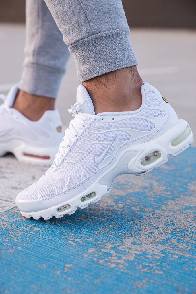 Кроссовки Nike Air Max TN plus