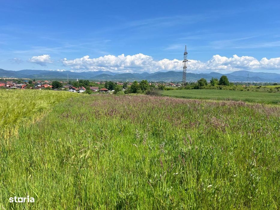 Lapusel - Teren intravilan, 41,46 ari (posibilitate de parcelare)