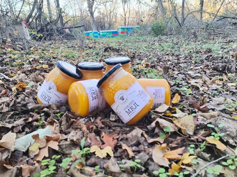 Натурален пчелен мед
