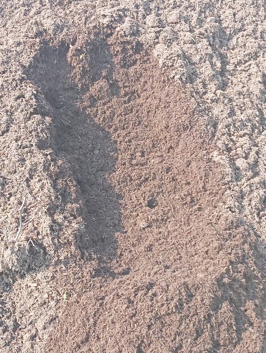 Торф биягомс еовой ут усмиди илдиз ривожланишига Зур эффект беради