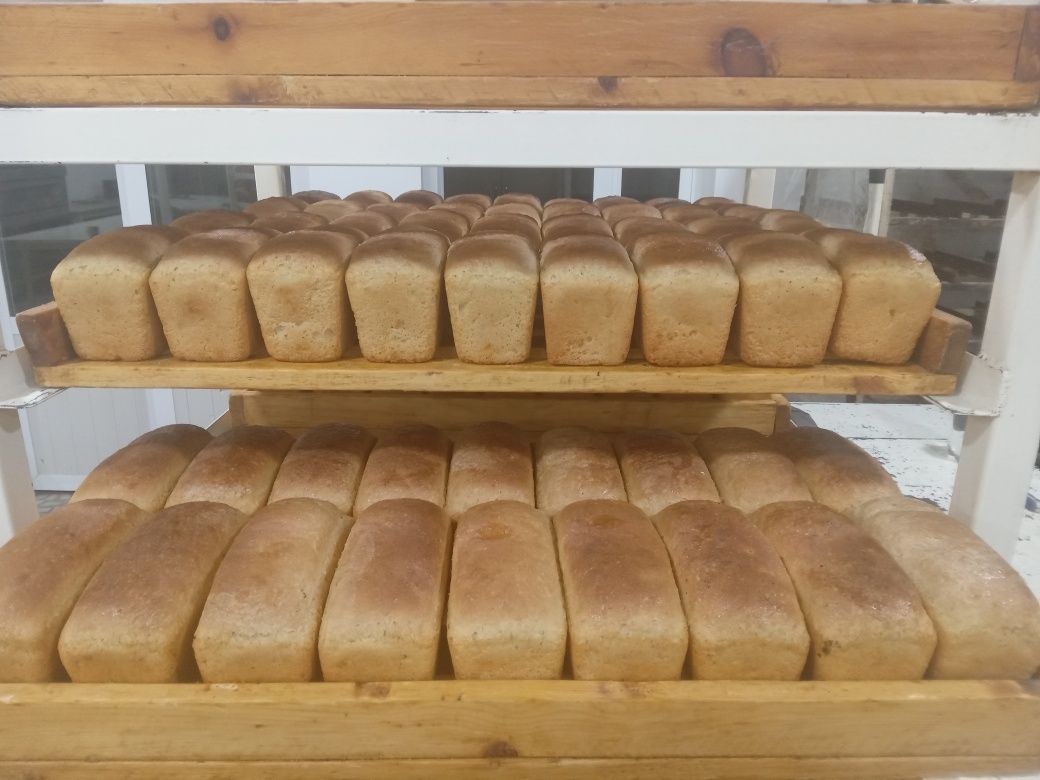 Buhanka qilishni o'rgataman. 150 $