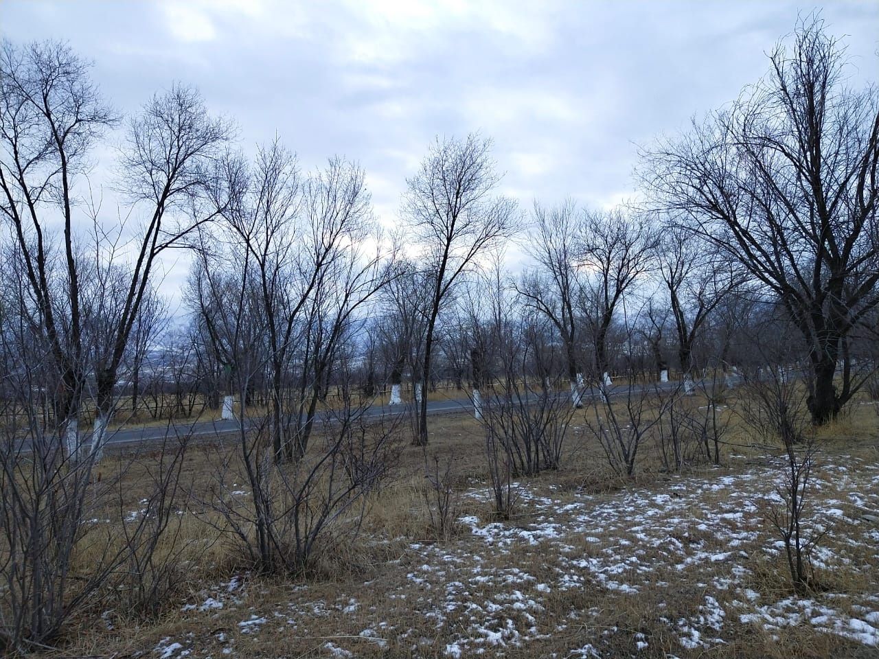 Продам участок в Алматинской области, Каскелен, вдоль 1 линии, ровный