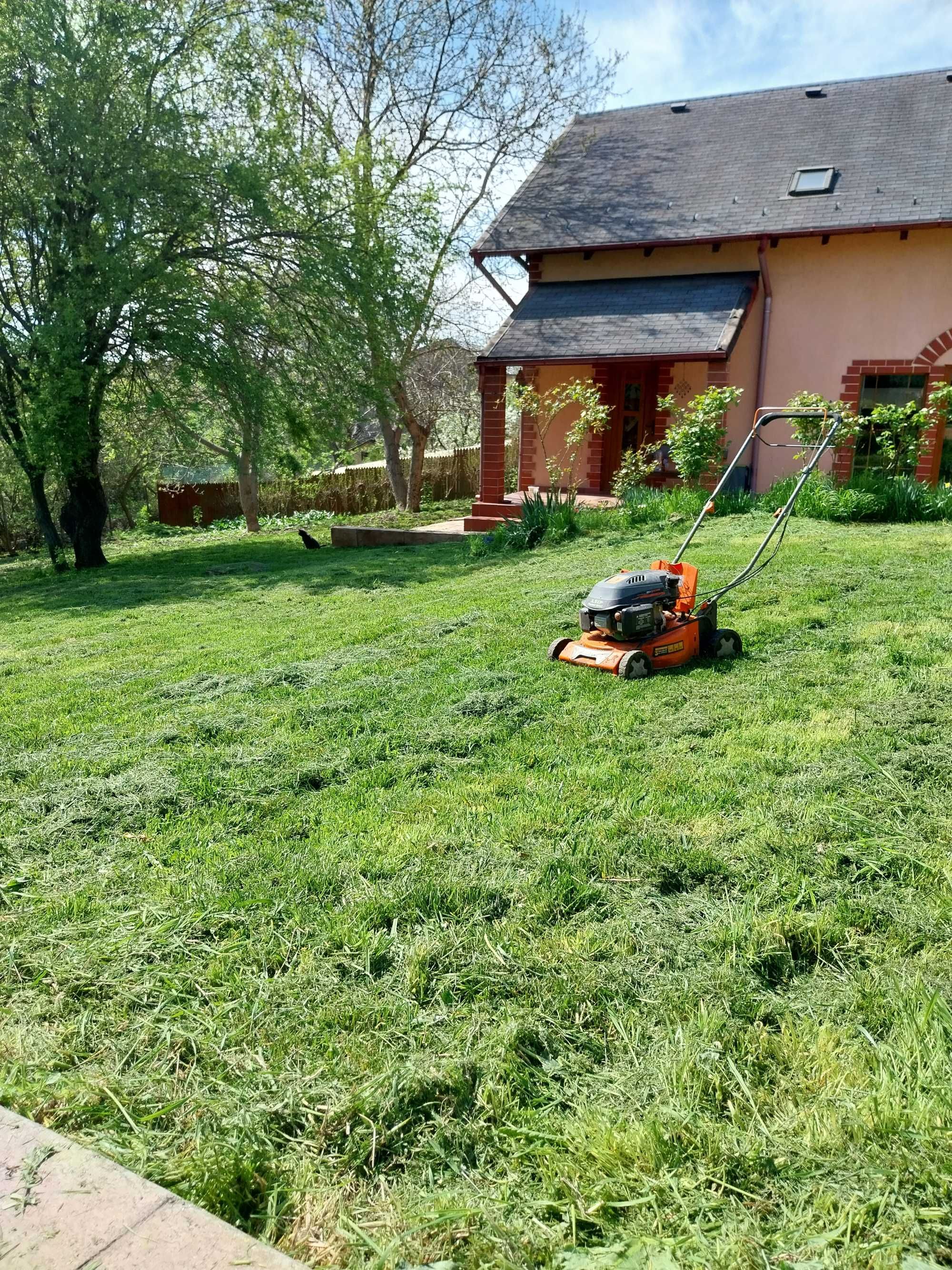 Tundem gazon iarbă buruieni defrișăm ierbicidăm